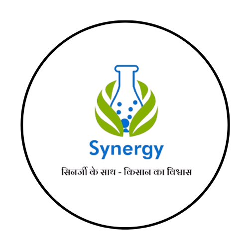 Synergy Crop Seeds